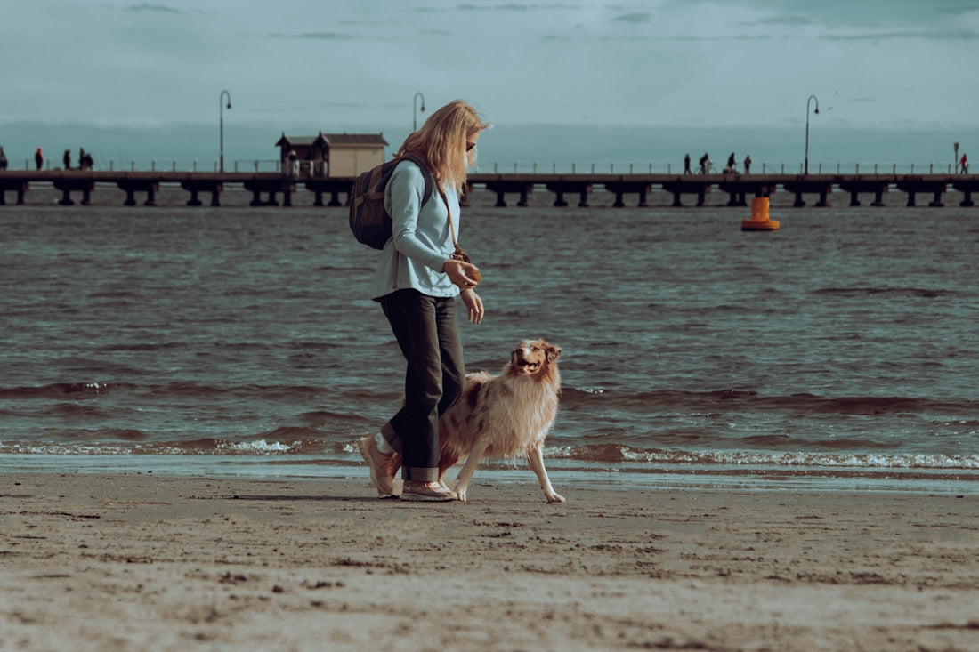 a woman walking her dog on the beach