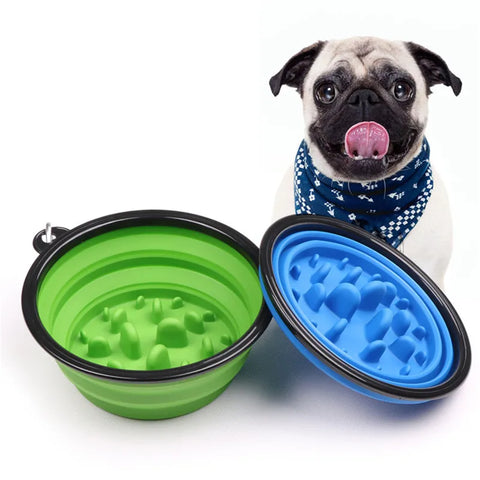 Collapsible Dog Water Bowl & Slow Feeder 2 in 1