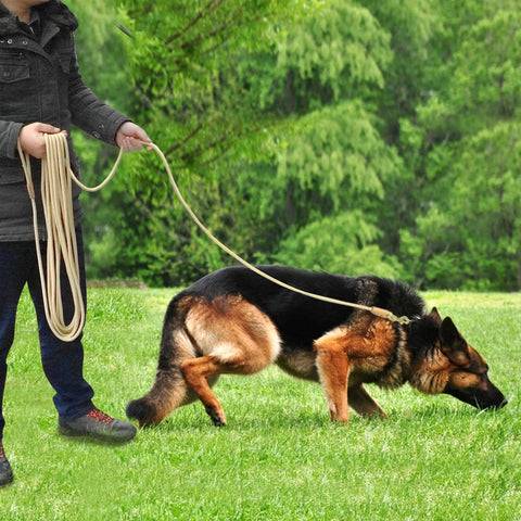 Long Dog Lead 3m/5m/10m/20m