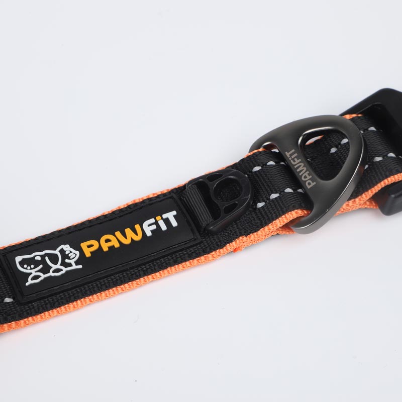 Pawfit Collar