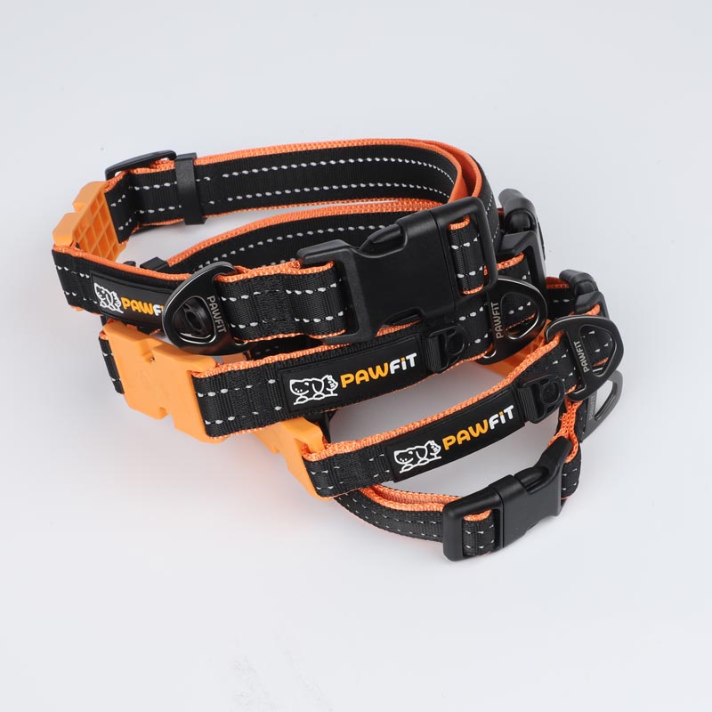 Pawfit Collar
