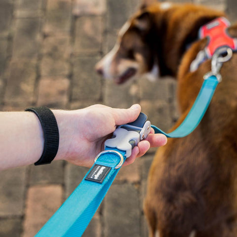 Multipurpose Super Lead