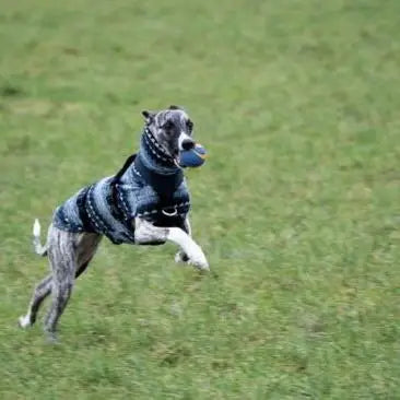 Winter Fleece Turtleneck Dog Coat for Sighthounds