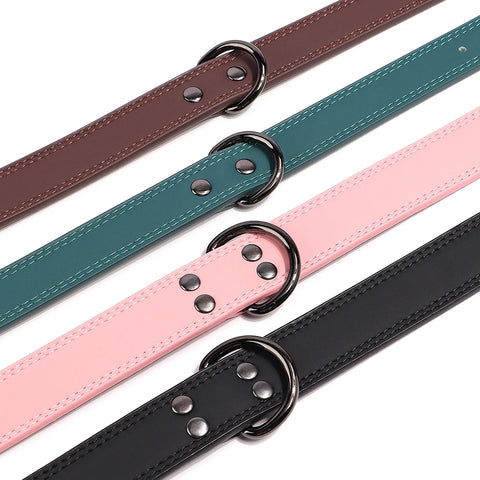 Taurus Genuine Leather Dog Collar