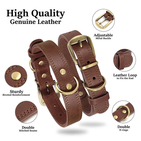 Majestic Genuine Leather Dog Collar