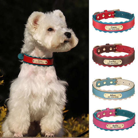 Triton Personalised Dog Collar Genuine Leather
