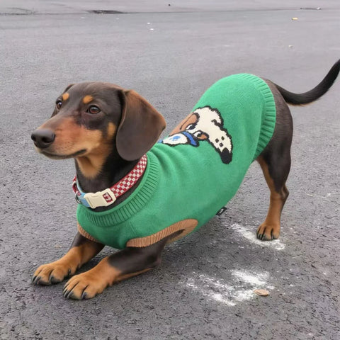 Cartoon Hand-Knitted Sweater for Dachshunds & Small Dogs
