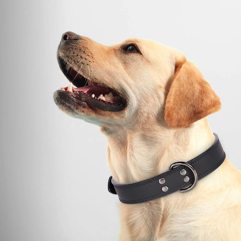 Taurus Genuine Leather Dog Collar