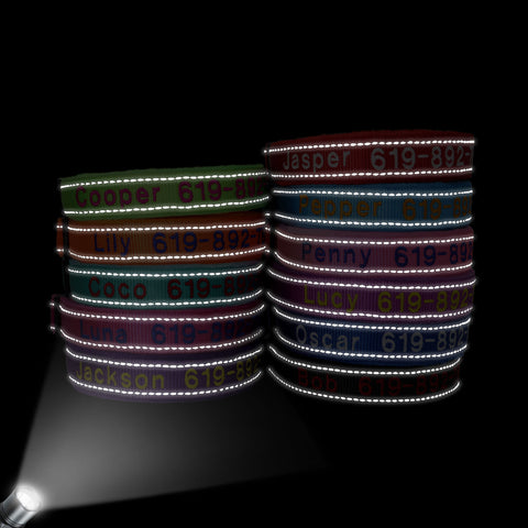 Embroidered Dog Collar Soft Padded Reflective Dog Nation