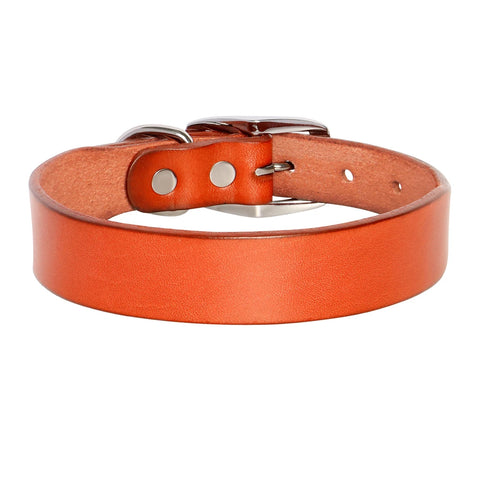 Jupiter Genuine Leather Dog Collar