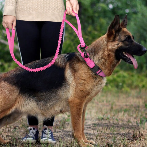 Durable Military Style Tactical Dog Collar Leash Set Dog Nation