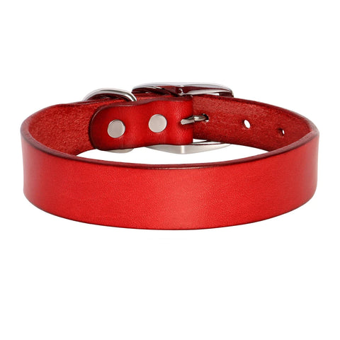 Jupiter Genuine Leather Dog Collar