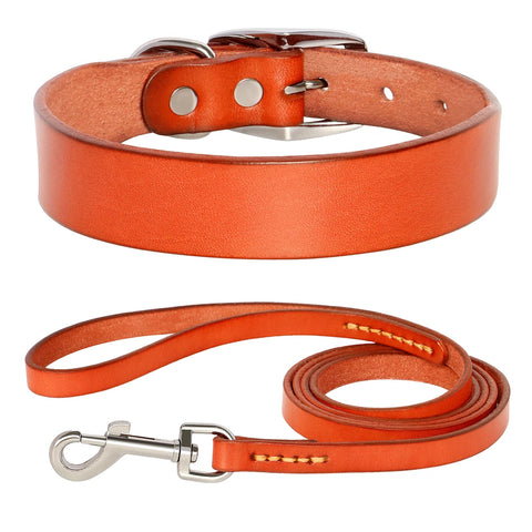 Jupiter Genuine Leather Dog Collar & Leash Set