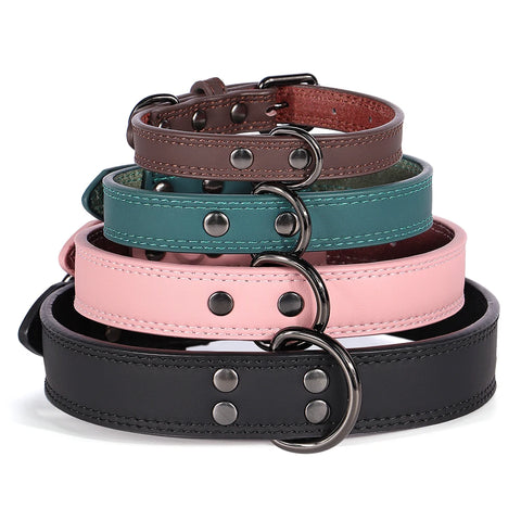 Taurus Genuine Leather Dog Collar