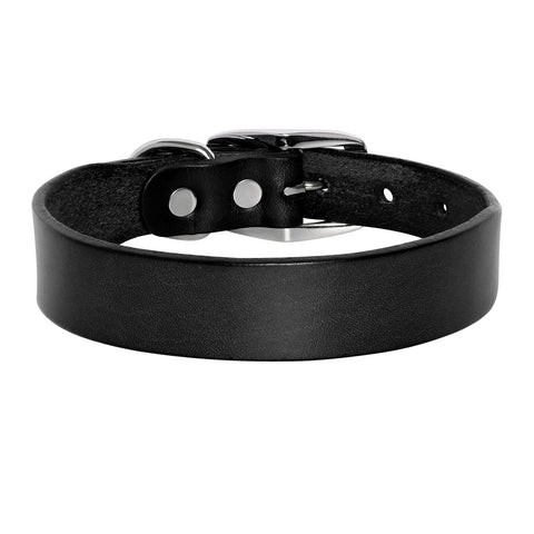 Jupiter Genuine Leather Dog Collar