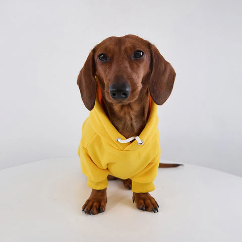 Fleece Hoodie for Dachshunds & Small Dogs