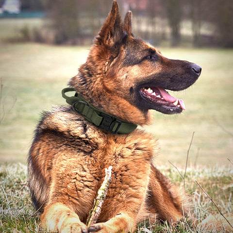 Durable Military Style Tactical Dog Collar Leash Set Dog Nation