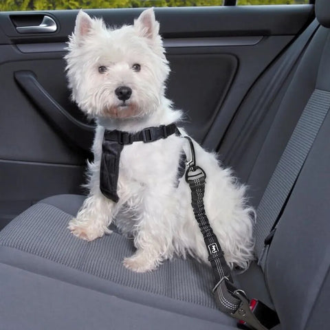 Dog Car Seat Belt With Shock Absorber