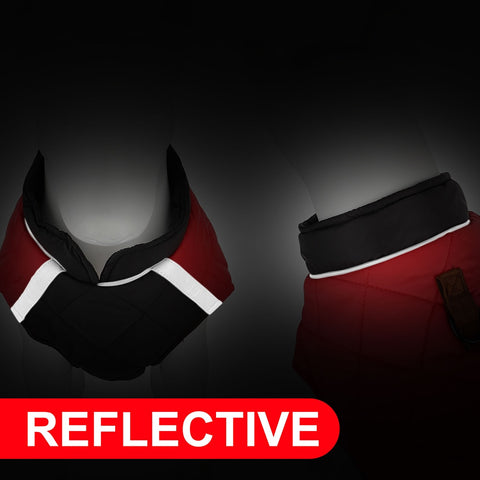 Winter Dog Jacket Warm and Lightweight Dog Nation