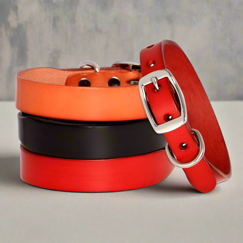 Jupiter Genuine Leather Dog Collar