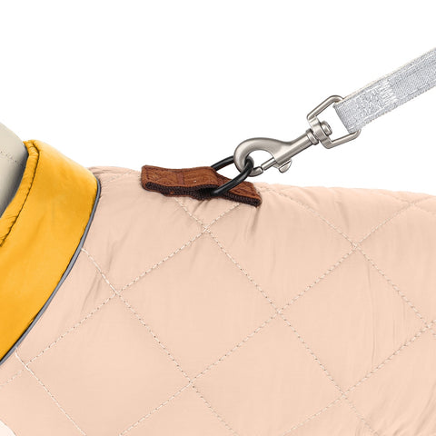 Winter Dog Jacket Warm and Lightweight Dog Nation