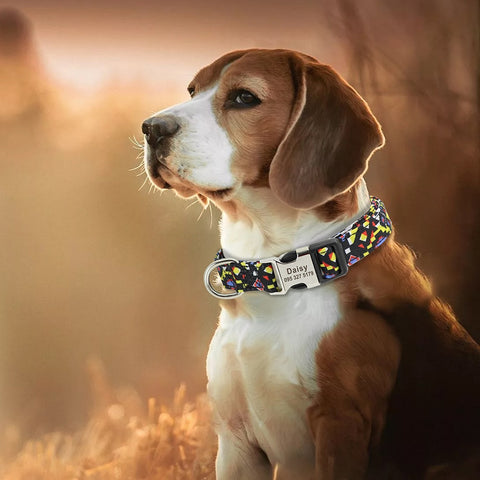Lynx Personalised Dog Collar Laser Engraved Dog Nation