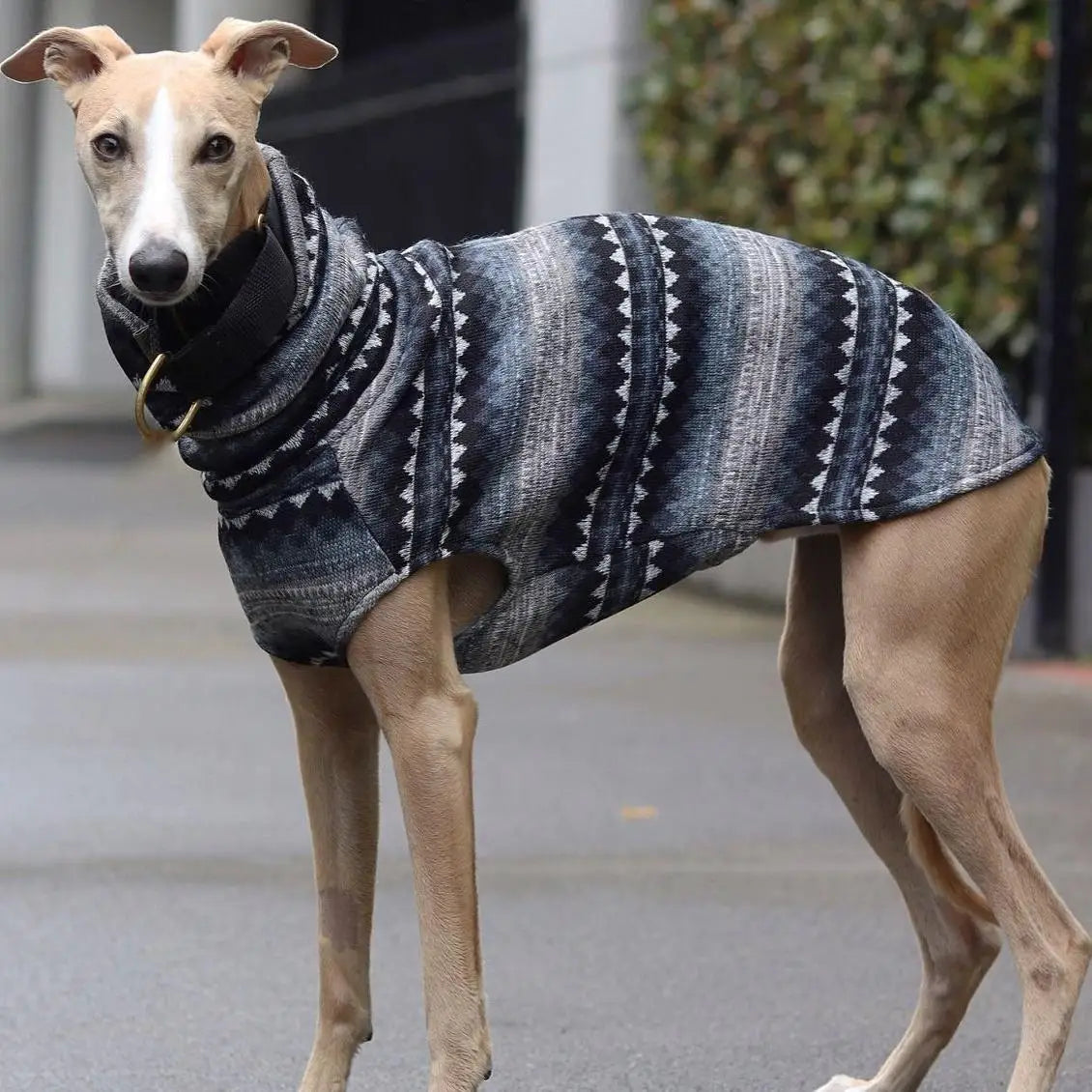 Winter Fleece Turtleneck Dog Coat for Sighthounds