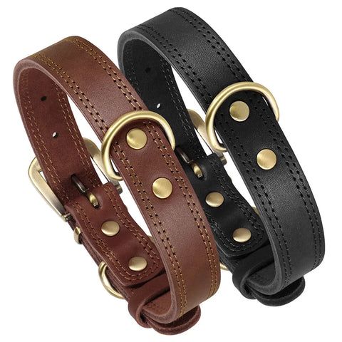 Majestic Genuine Leather Dog Collar