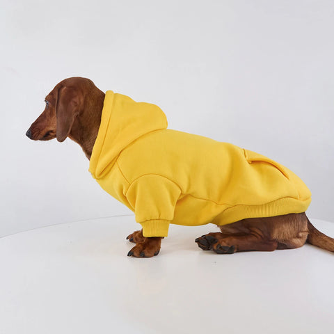 Fleece Hoodie for Dachshunds & Small Dogs