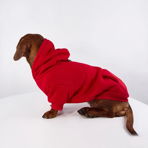 Fleece Hoodie for Dachshunds & Small Dogs
