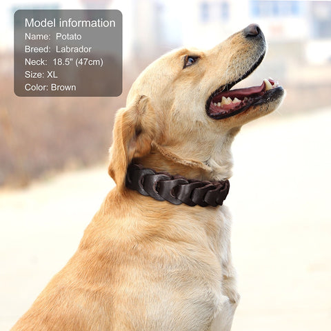 Phoenix Genuine Leather Chain Collar For Medium & Large Dogs Dog Nation