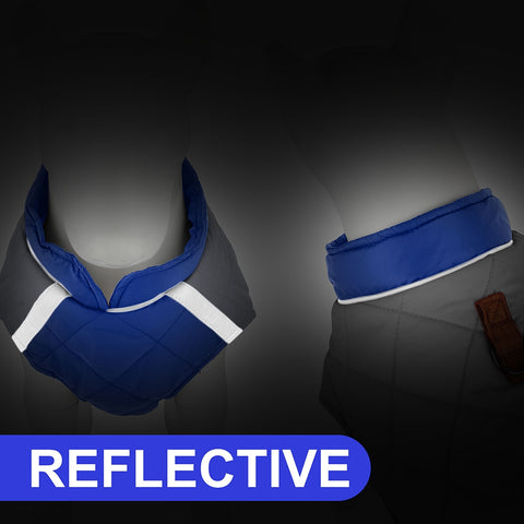 Winter Dog Jacket Warm and Lightweight Dog Nation