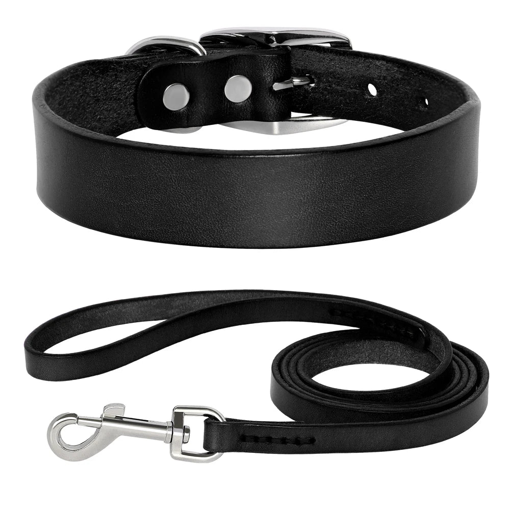 Jupiter Genuine Leather Dog Collar & Leash Set
