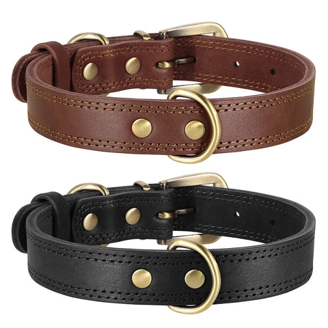 Majestic Genuine Leather Dog Collar