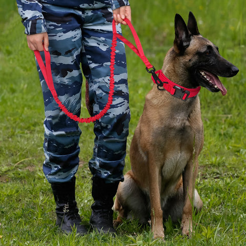 Durable Military Style Tactical Dog Collar Leash Set Dog Nation