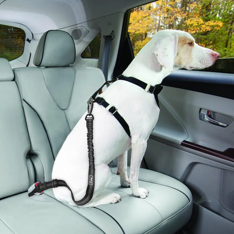 Dog Car Seat Belt With Shock Absorber