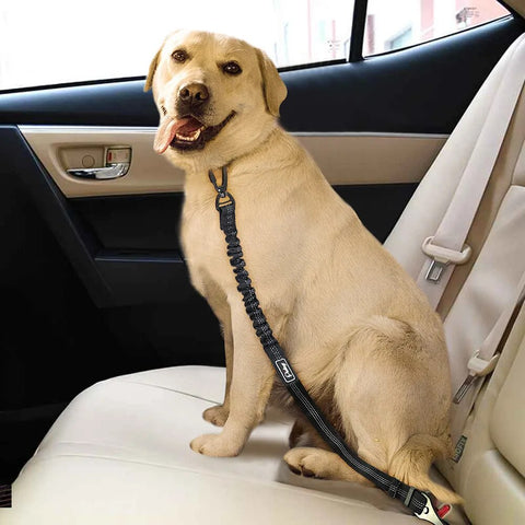 Dog Car Seat Belt With Shock Absorber