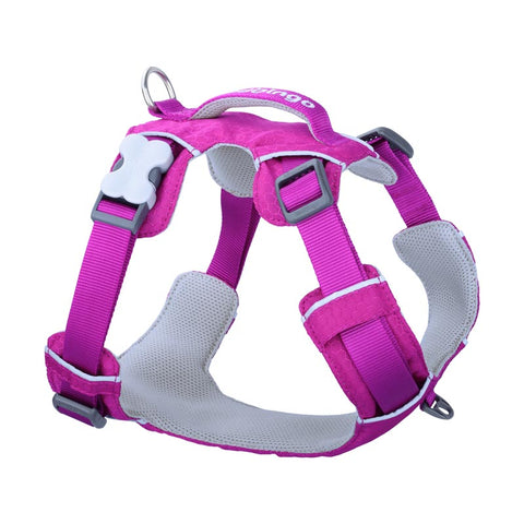 Sport Harness with Handle Red Dingo