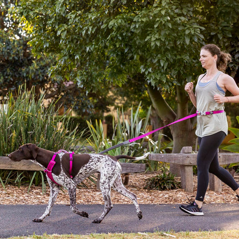 Bungee Hands-Free SuperLead