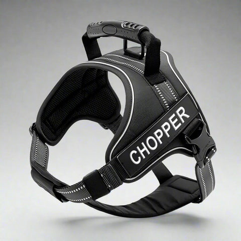 Personalised Dog Harness with Handle