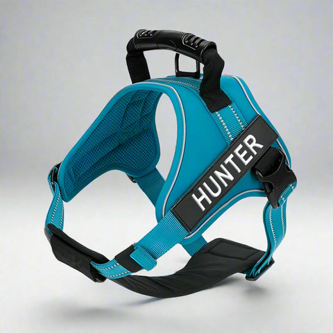 Personalised Dog Harness with Handle