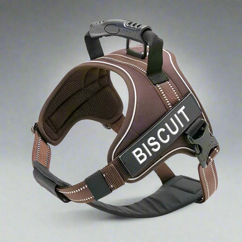 Personalised Dog Harness with Handle