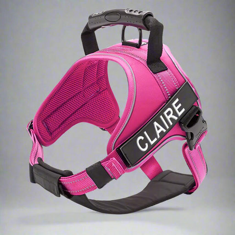 Personalised Dog Harness with Handle