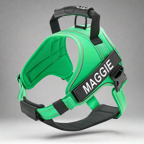 Personalised Dog Harness with Handle