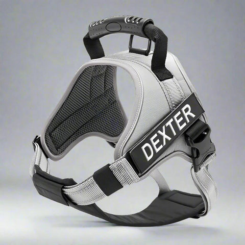 Personalised Dog Harness with Handle