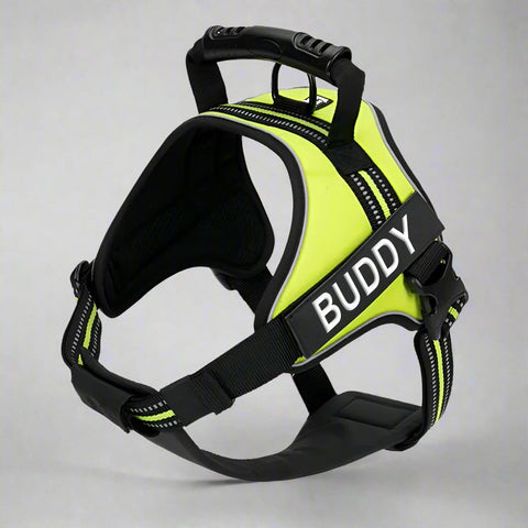 Personalised Dog Harness with Handle