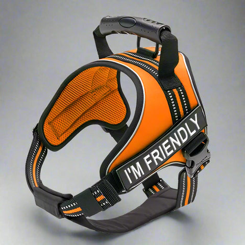 Personalised Dog Harness with Handle