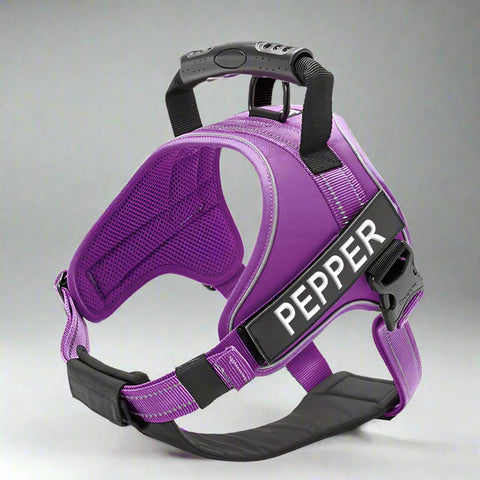 Personalised Dog Harness with Handle