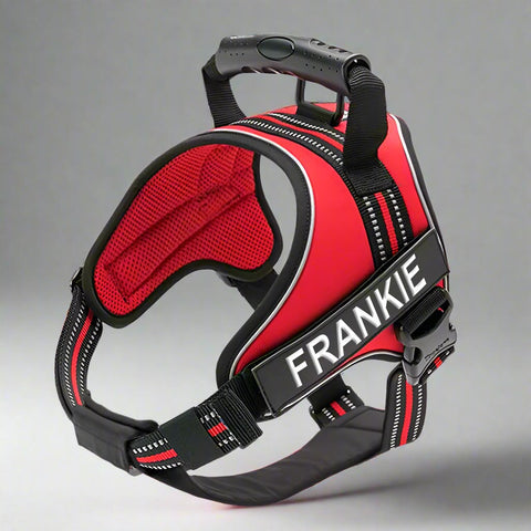 Personalised Dog Harness with Handle