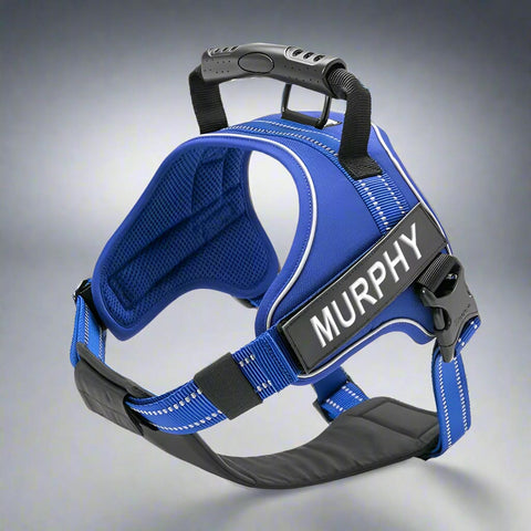 Personalised Dog Harness with Handle